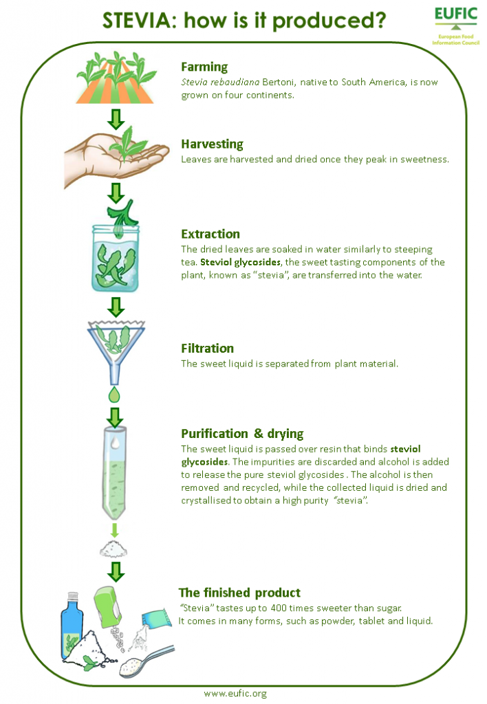 STEVIA Infographic_WorldDiabetesDay_FINAL(3)