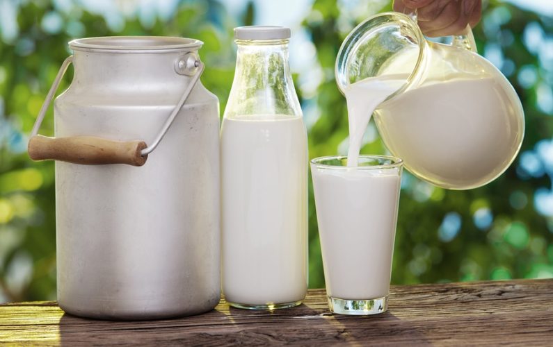 Pouring milk in the glass on the background of nature.