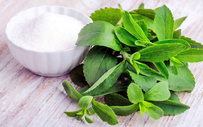 stevia