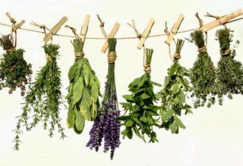 Dried_Herbs