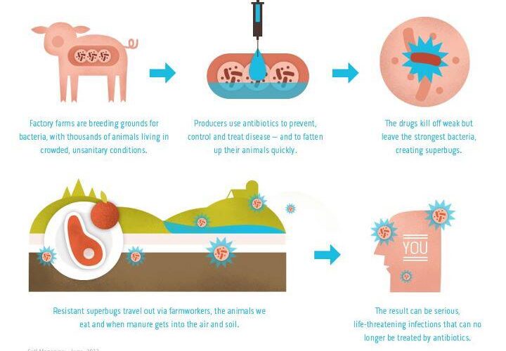 antibiotics