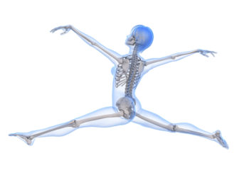 Healthy_Bones