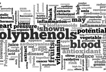 Polyphenols-wordle