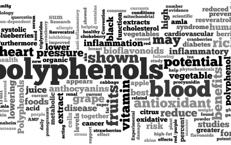 Polyphenols-wordle