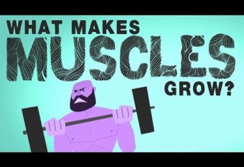 musclesgrow