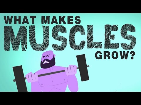 musclesgrow